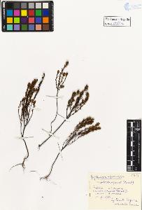 SW_BNB_s3020-00957_IMG-0000000001