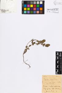 SW_BNB_s3020-00973_IMG-0000000001