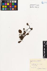 SW_BNB_s3020-00985_IMG-0000000001