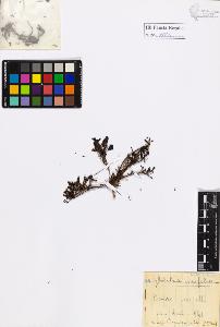 SW_BNB_s3020-00998_IMG-0000000001