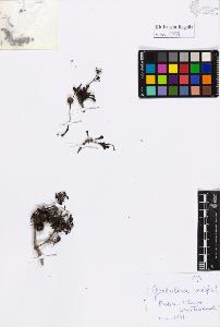 SW_BNB_s3020-01000_IMG-0000000001
