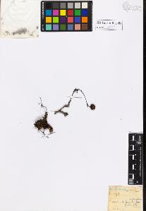 SW_BNB_s3020-01002_IMG-0000000001