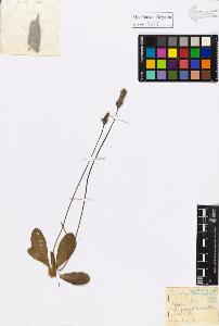 SW_BNB_s3020-01006_IMG-0000000001