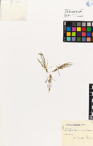 SW_BNB_s3020-01016_IMG-0000000001