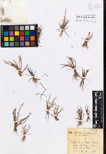 SW_BNB_s3020-01017_IMG-0000000001