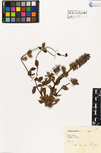 SW_BNB_s3020-01018_IMG-0000000001
