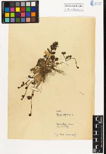 SW_BNB_s3020-01019_IMG-0000000001