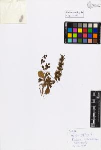 SW_BNB_s3020-01021_IMG-0000000001