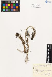 SW_BNB_s3020-01025_IMG-0000000001