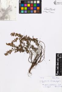 SW_BNB_s3020-01029_IMG-0000000001