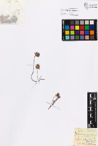 SW_BNB_s3020-01039_IMG-0000000001