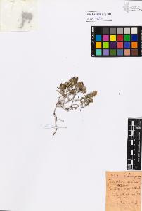 SW_BNB_s3020-01040_IMG-0000000001