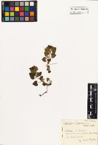 SW_BNB_s3020-01047_IMG-0000000001