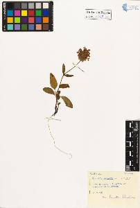 SW_BNB_s3020-01048_IMG-0000000001