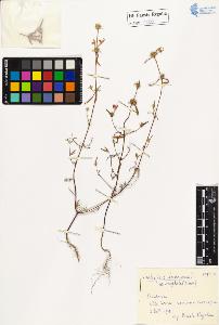 SW_BNB_s3020-01059_IMG-0000000001