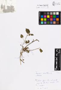 SW_BNB_s3020-01071_IMG-0000000001