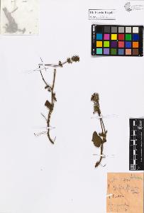 SW_BNB_s3020-01074_IMG-0000000001