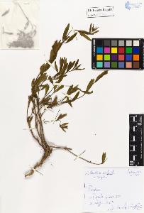 SW_BNB_s3020-01079_IMG-0000000001