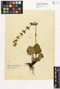 SW_BNB_s3020-01084_IMG-0000000001
