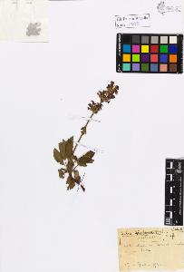 SW_BNB_s3020-01086_IMG-0000000001
