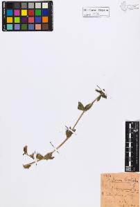 SW_BNB_s3020-01102_IMG-0000000001
