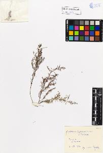 SW_BNB_s3020-01109_IMG-0000000001