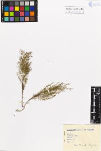 SW_BNB_s3020-01110_IMG-0000000001