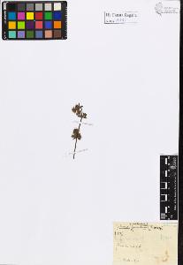 SW_BNB_s3020-01116_IMG-0000000001