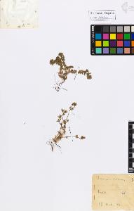 SW_BNB_s3020-01119_IMG-0000000001