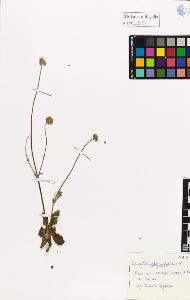 SW_BNB_s3020-01133_IMG-0000000001