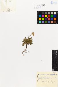 SW_BNB_s3020-01135_IMG-0000000001