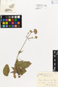 SW_BNB_s3020-01136_IMG-0000000001