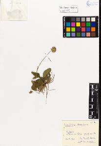 SW_BNB_s3020-01141_IMG-0000000001