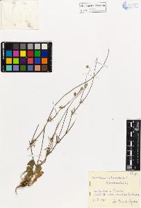 SW_BNB_s3020-01146_IMG-0000000001