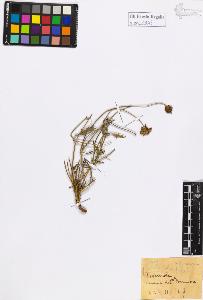 SW_BNB_s3020-01149_IMG-0000000001