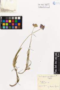 SW_BNB_s3020-01151_IMG-0000000001