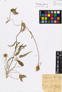 SW_BNB_s3020-01158_IMG-0000000001