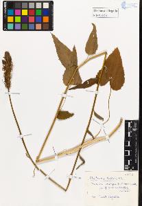 SW_BNB_s3020-01159_IMG-0000000001