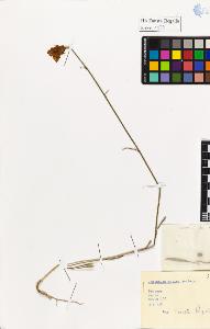SW_BNB_s3020-01178_IMG-0000000001