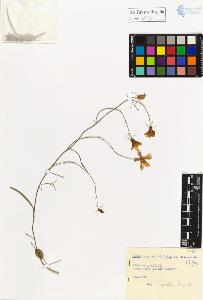 SW_BNB_s3020-01179_IMG-0000000001