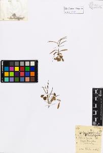 SW_BNB_s3020-01186_IMG-0000000001