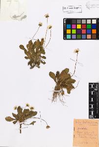 SW_BNB_s3020-01206_IMG-0000000001