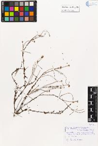 SW_BNB_s3020-01208_IMG-0000000001