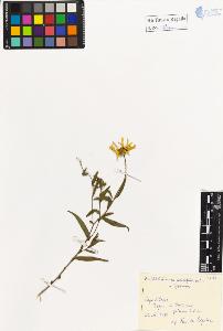 SW_BNB_s3020-01240_IMG-0000000001