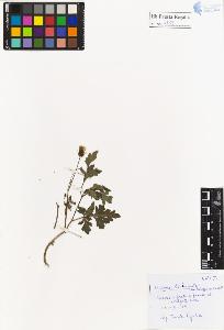 SW_BNB_s3020-01245_IMG-0000000001