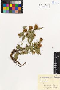 SW_BNB_s3020-01251_IMG-0000000001