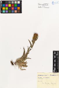 SW_BNB_s3020-01254_IMG-0000000001