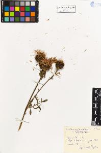 SW_BNB_s3020-01257_IMG-0000000001