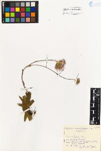 SW_BNB_s3020-01261_IMG-0000000001