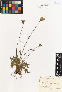 SW_BNB_s3020-01263_IMG-0000000001